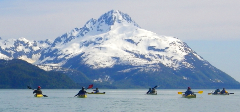 group in glacier bay sea kayak